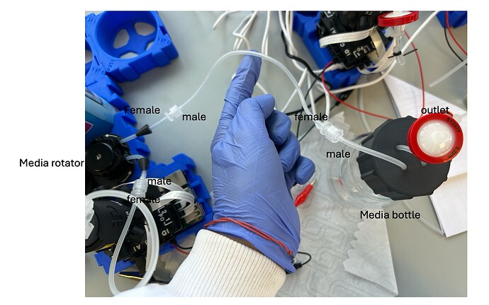 Screenshot 2025-12-04 at 11.16.27