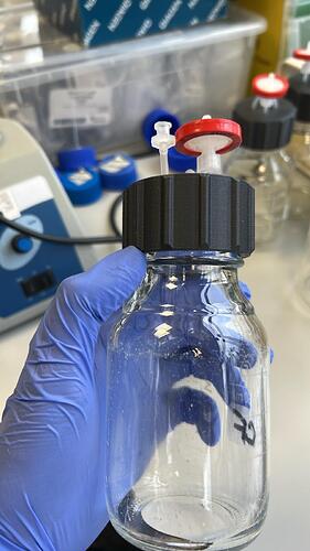 PHOTO-2025-12-01-12-51-34