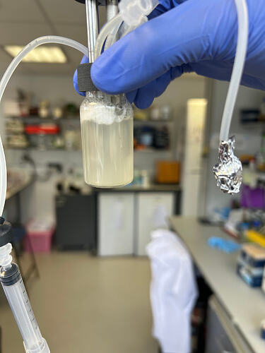 2851775140394_.pic_hd